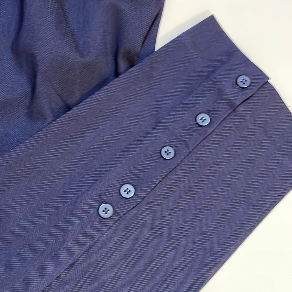 Chico’s navy pants 3R